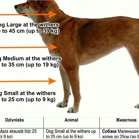 Quiet Hideaway In Centre *